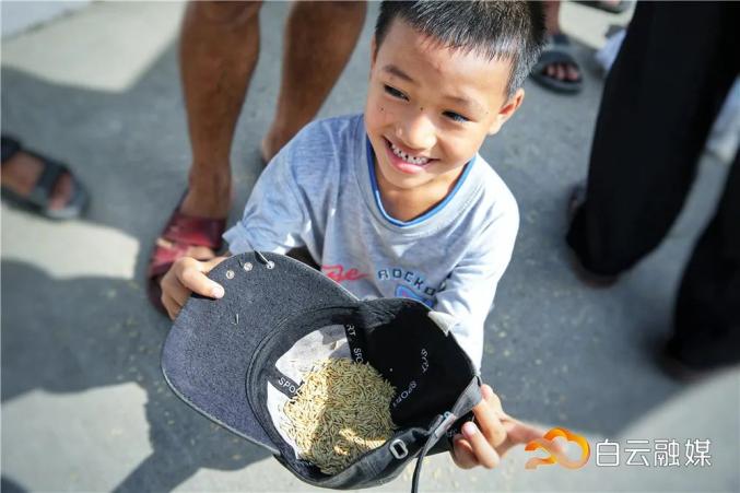 笑脸,绽放在丰收的田园里