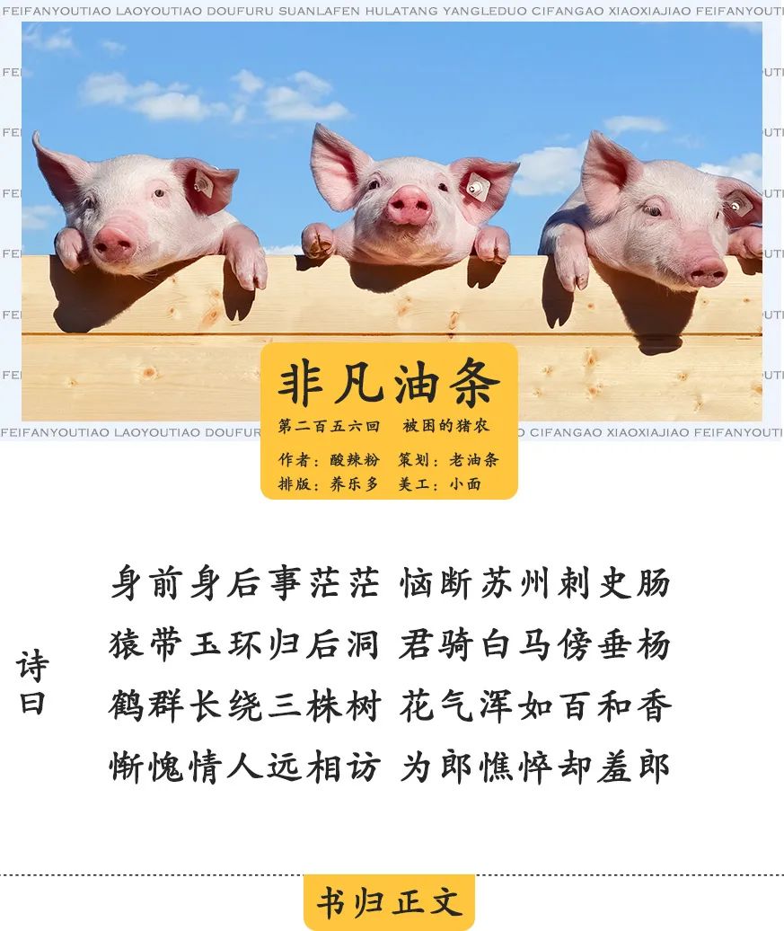 猪农，困在系统里？