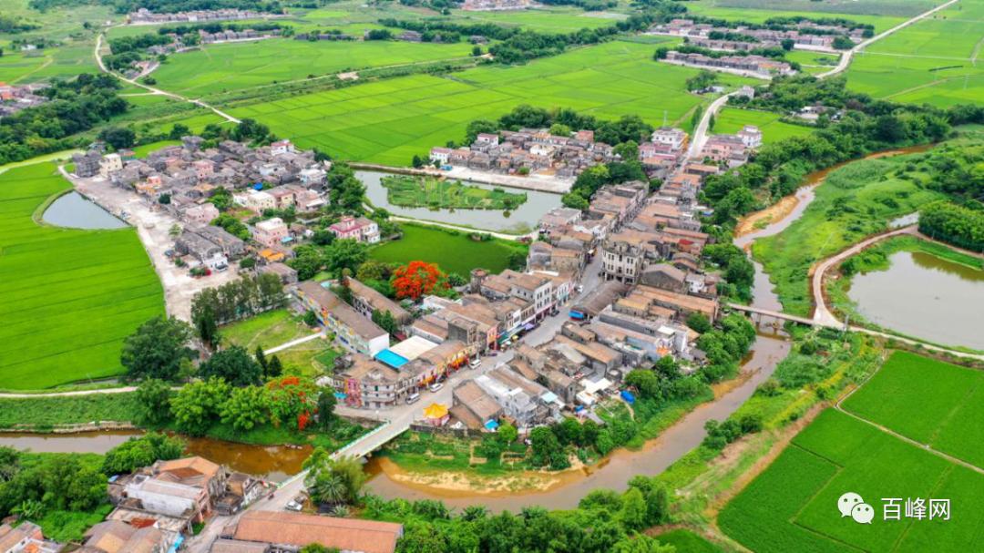 明天上午10点直播端芬