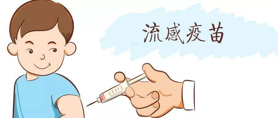 甲型流感h1n1疫苗_流感裂解疫苗要打吗_北京流感疫苗价格