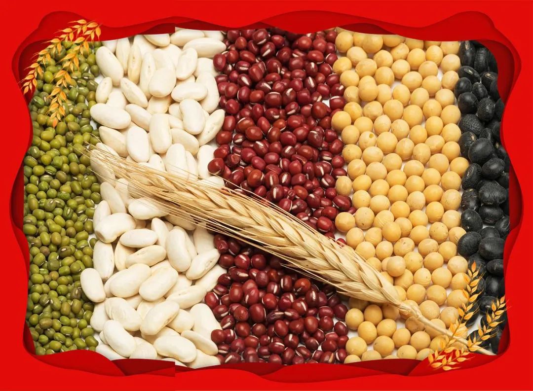 丰收十二时辰子时五谷归仓迎丰收