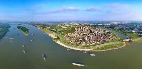 新城小学三水三桥这些项目的最新消息来了