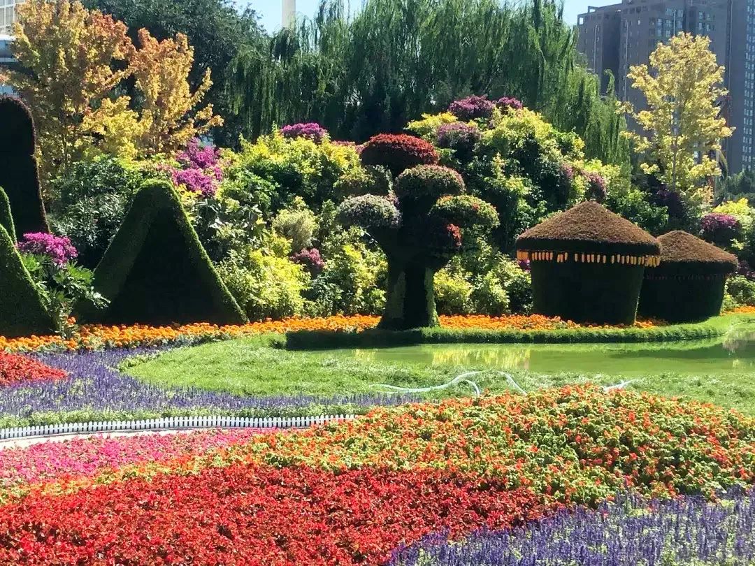 昌平掠影繁花锦簇迎国庆