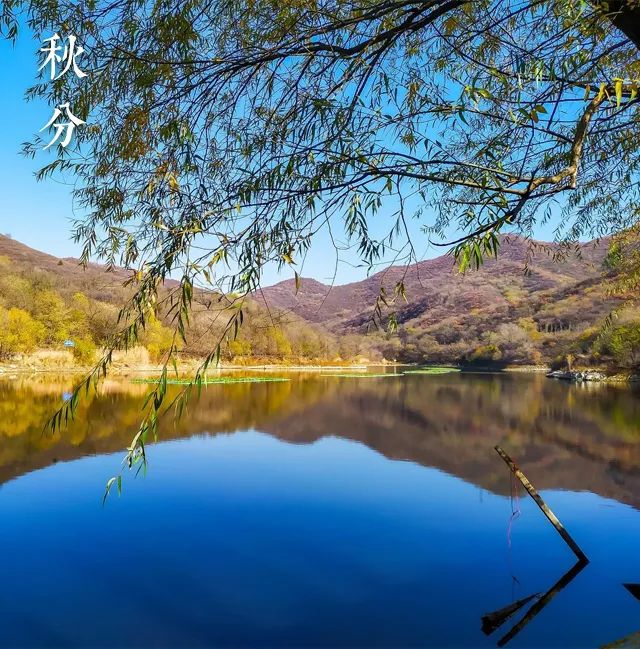 秋分|正是一年最美时_澎湃号·政务_澎湃新闻-the paper