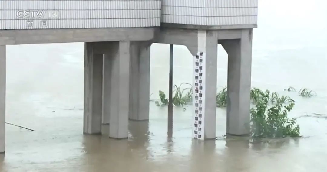 大汛之年没有发生大灾 为什么 焦点访谈 政务 澎湃新闻 The Paper