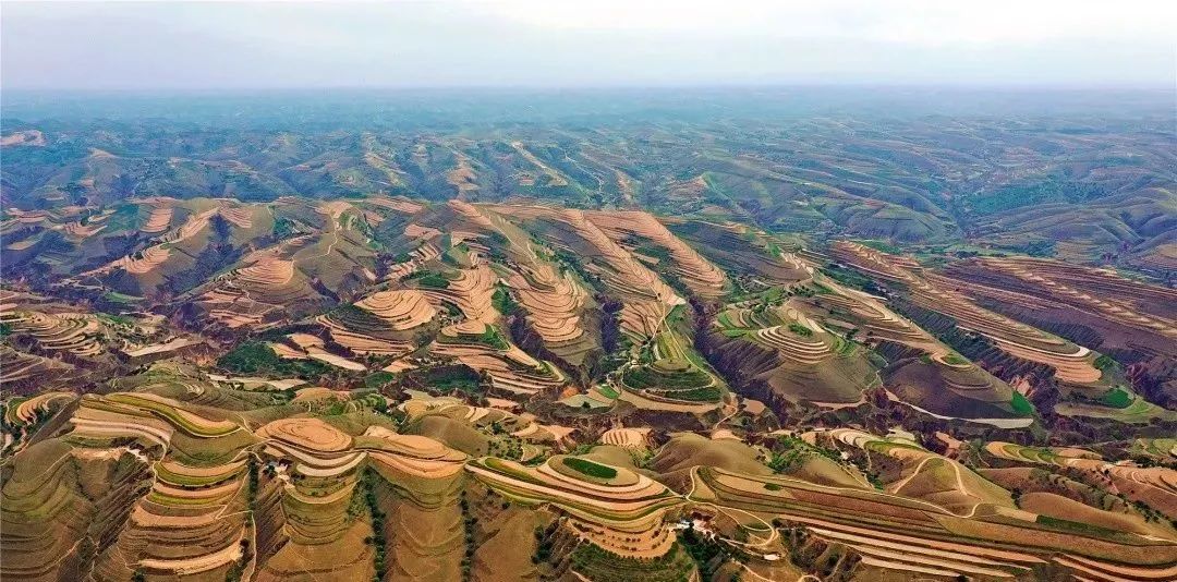 导游甘肃丨环县梯田一幅幅鬼斧神工的丹青