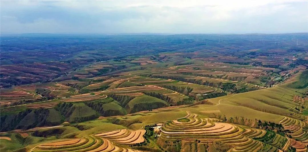 导游甘肃丨环县梯田一幅幅鬼斧神工的丹青