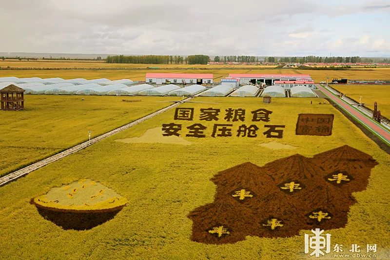 是全国粮食生产第一大省,商品粮基地和粮食战略后备基地,黑龙江是国家
