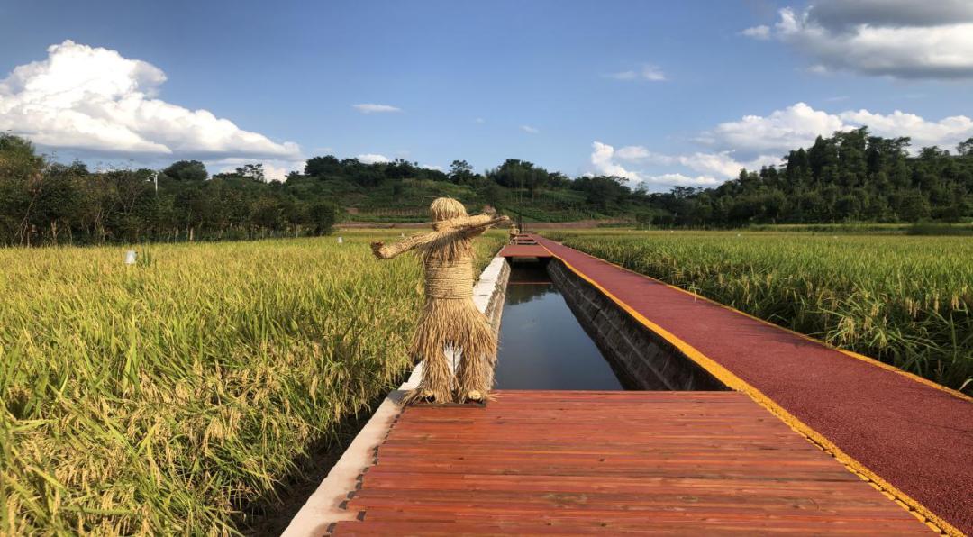 大竹有多少人口_台湾有多少人口