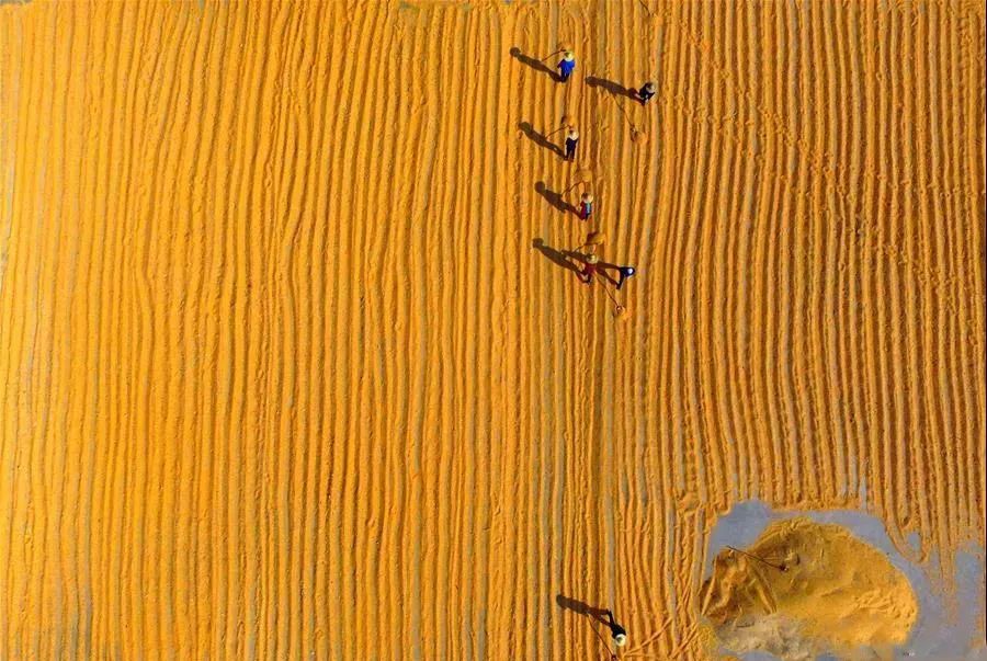 我们|我们的粮食“够吃”吗？用数据回答