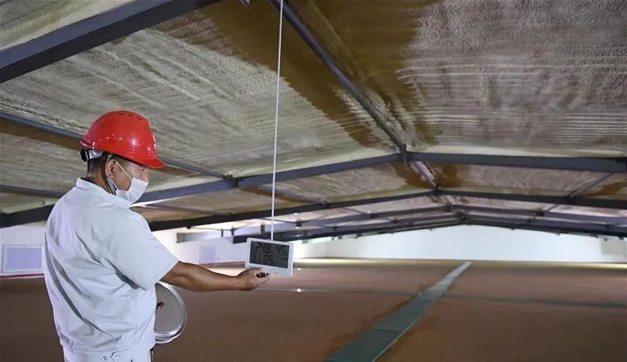 我们|我们的粮食“够吃”吗？用数据回答