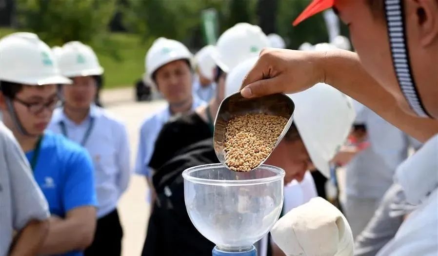 我们|我们的粮食“够吃”吗？用数据回答