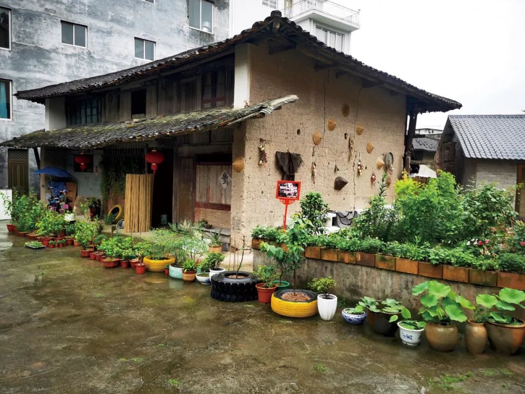 美丽庭院丨自家庭院装点美丽乡村