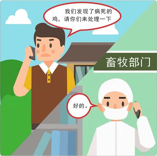 发现病死禽畜要及时向畜牧部门报告,并按照畜牧部门的要求妥善处理病