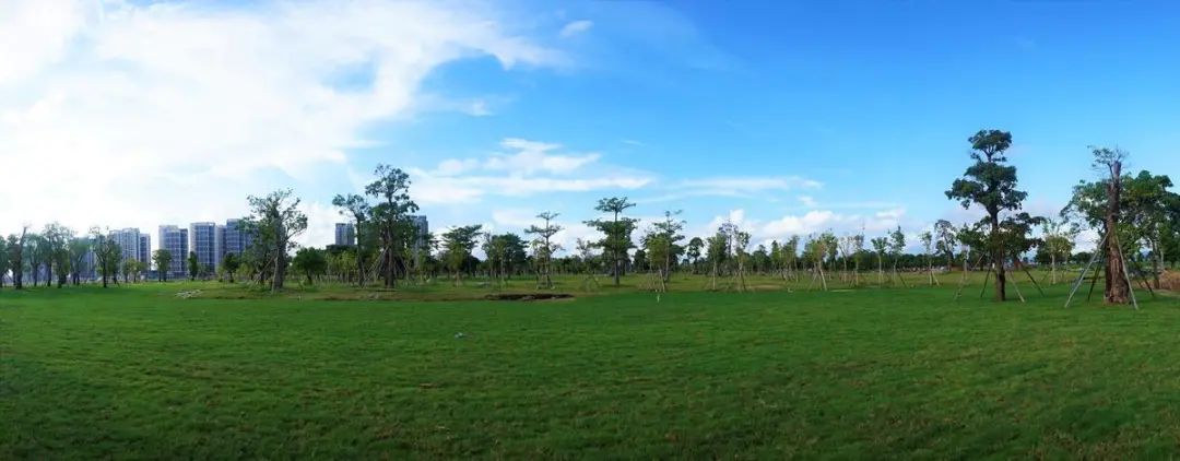 珠海又有一個大而美的公園要來了好消息不止這個