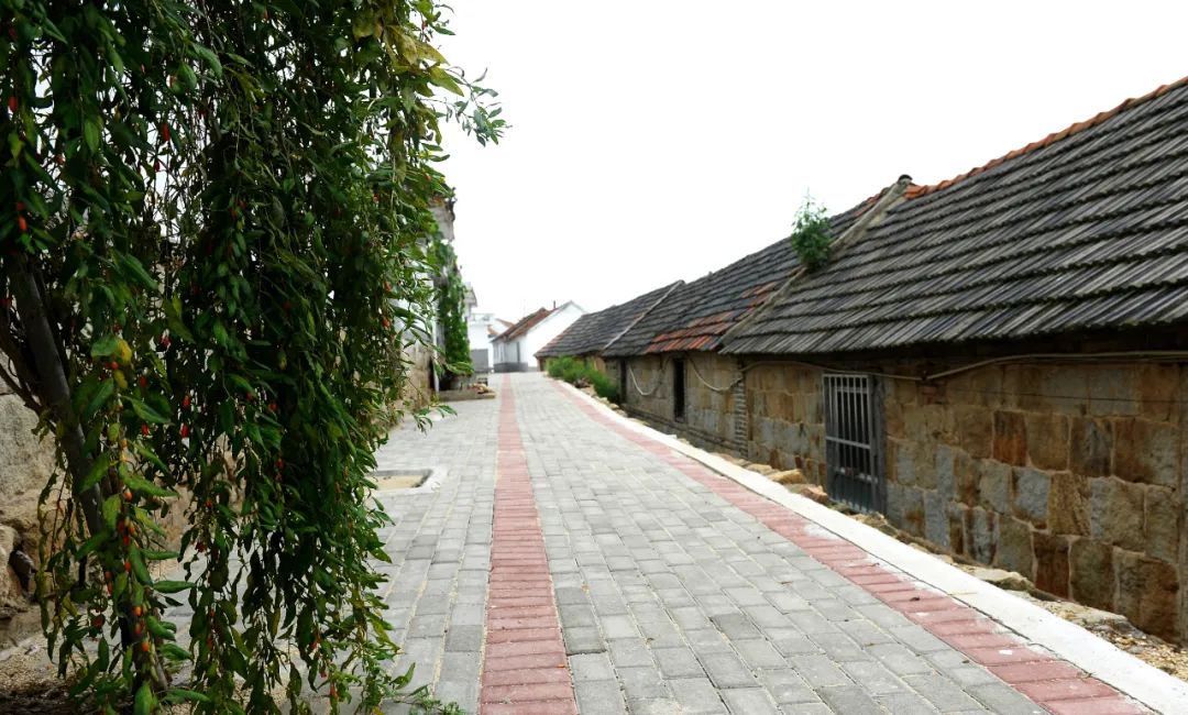 我家街巷最美系列展示烟台市牟平区高陵镇下夼村