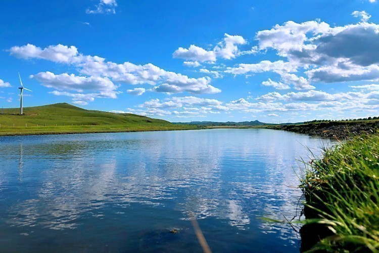 和阿拉木斯一样,不少贫困户通过发展好牛产业,念好"养牛经",成功摘掉