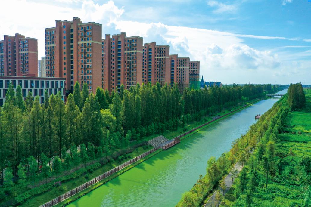 绿意铺画卷繁花咏诗行海湾镇15岁啦