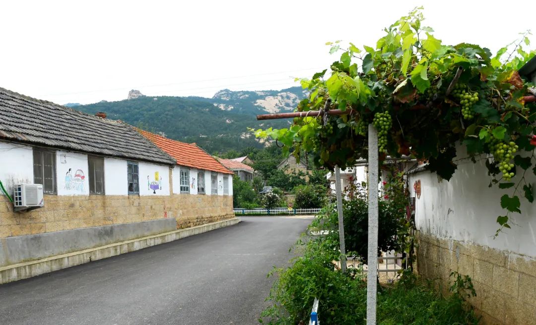 我家街巷最美系列展示烟台市牟平区龙泉镇邹家庄村