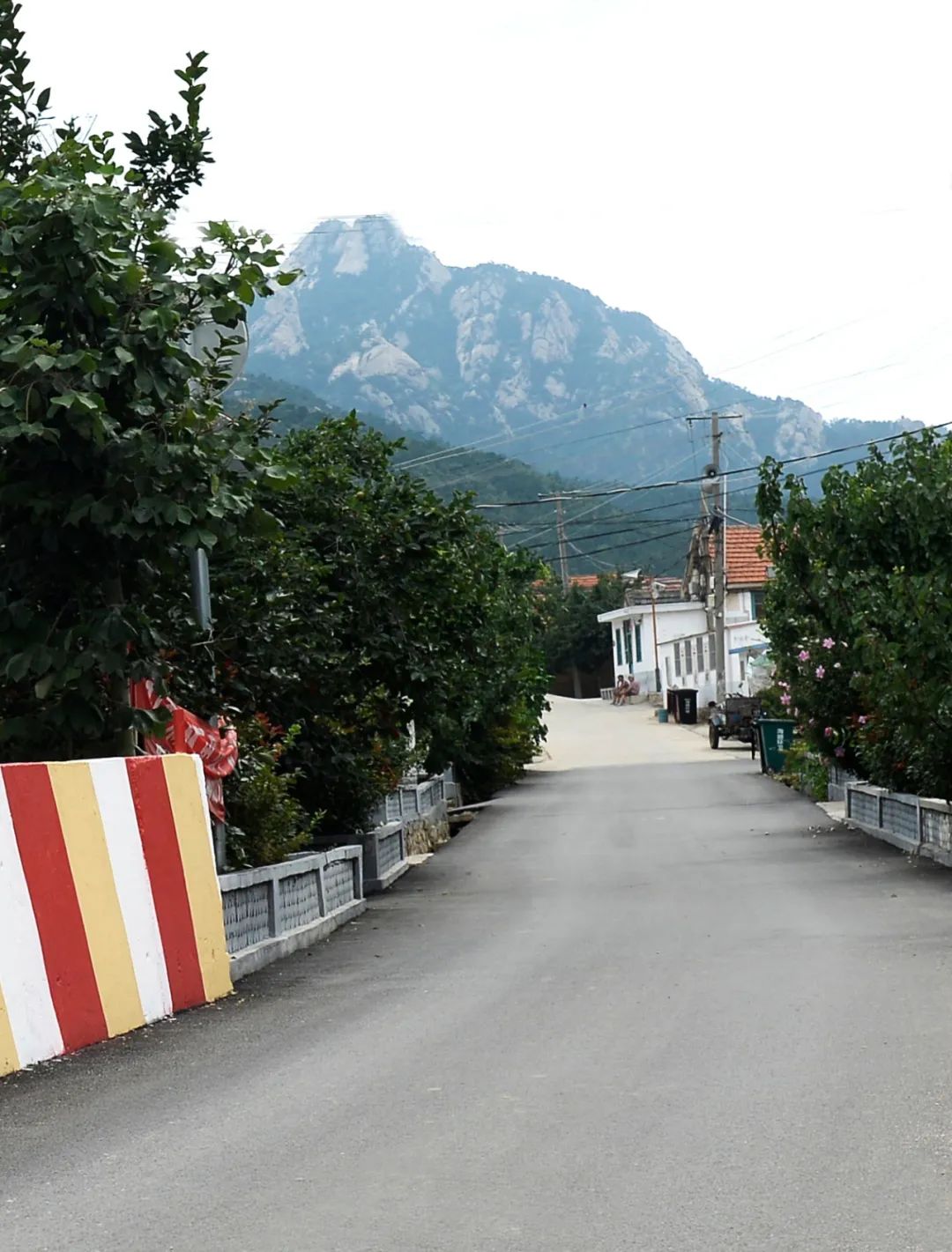 我家街巷最美系列展示烟台市牟平区龙泉镇邹家庄村