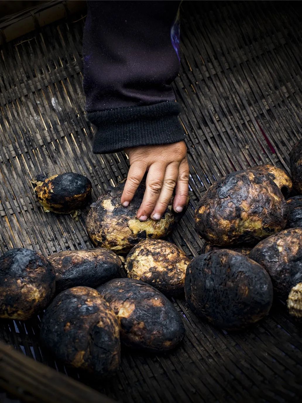 自家菜园挖出逾15斤“巨型土豆”，纽西兰夫妻欲为它申报世界纪录_Potato