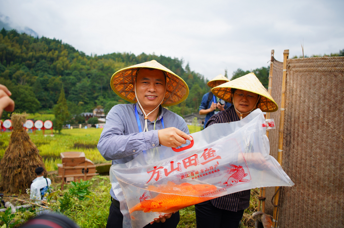 青田田鱼文化图片