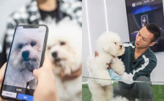 宠物鼻纹识别技术亮相上海，识别成功率突破99%