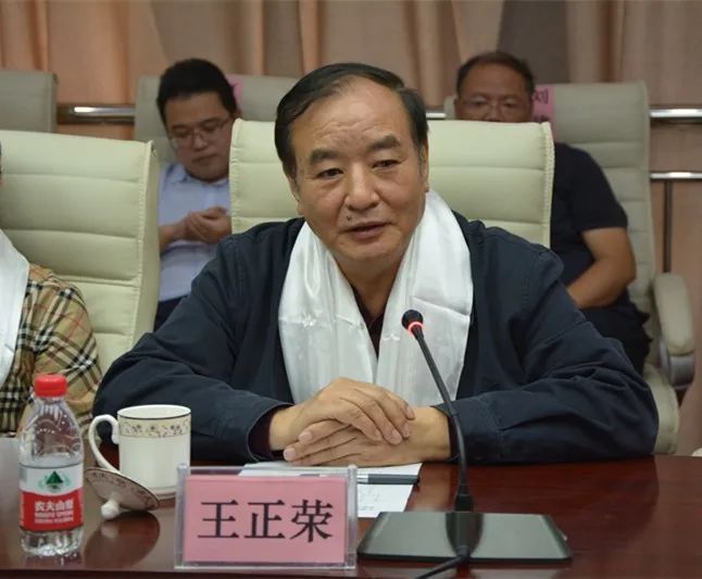 王亚蔺就"组团式"医疗援藏和应急医疗救助体系建设情