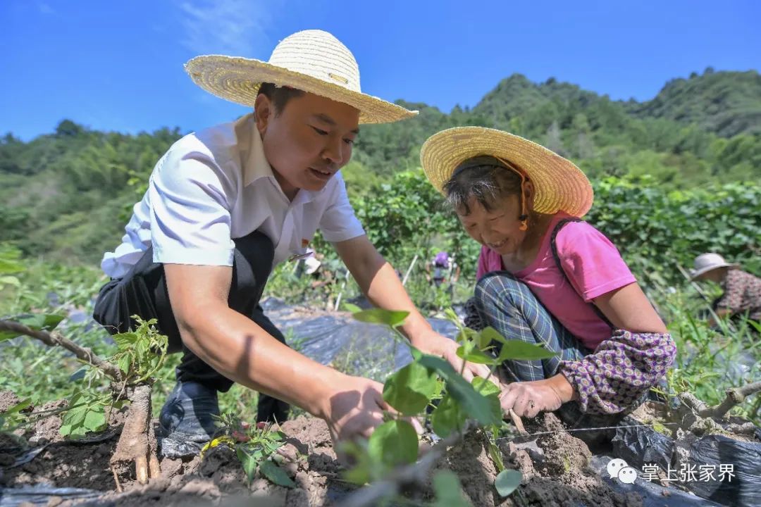 决胜全面小康61决战脱贫攻坚群英谱王作军只为肩头的那份责任