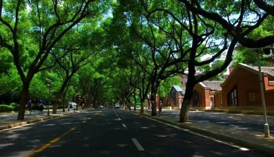 听见岳麓 || 陪你走过匆匆青春的那位《麓山姑娘》