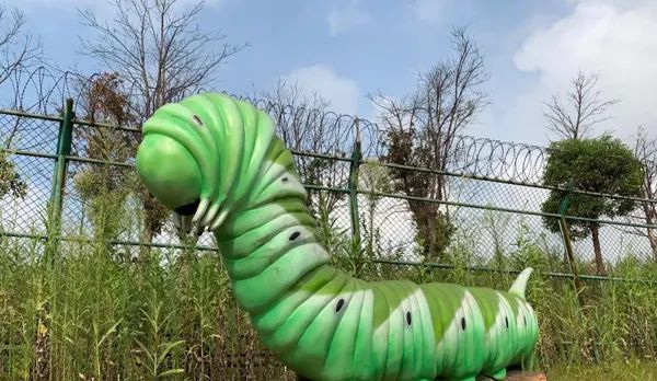 丛林中的巨型菜园宝宝金蝉脱壳春蚕南昌国庆打卡首选之地就来融创