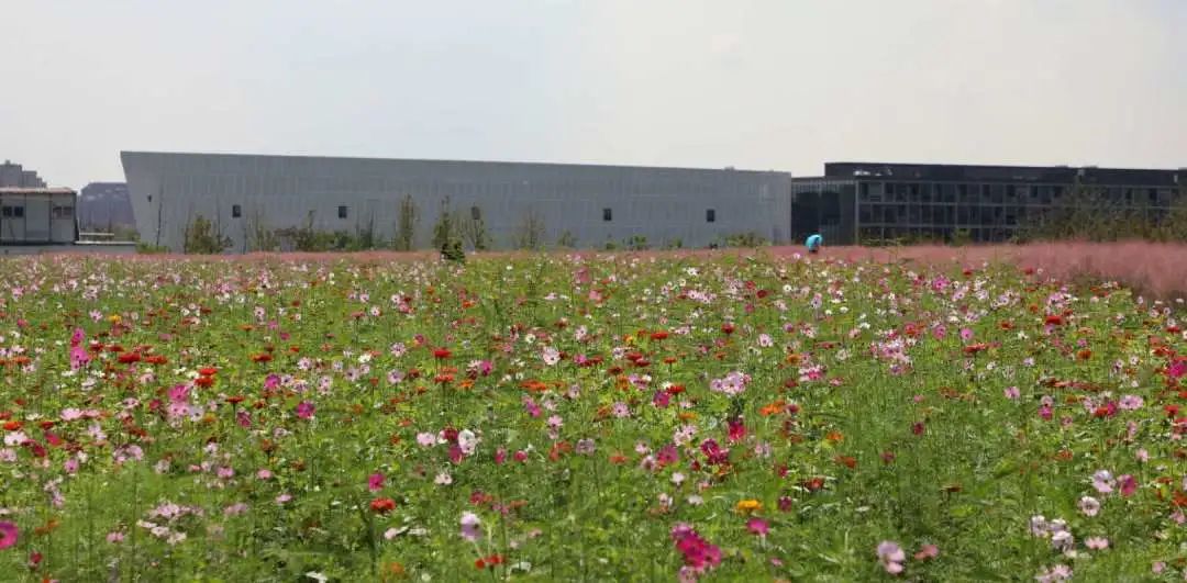 上海花卉种植基地在哪
