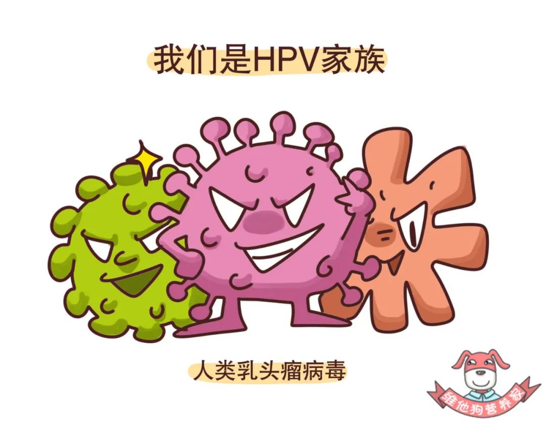 HPV Infections: Diagnosis, Prevention and Treatment