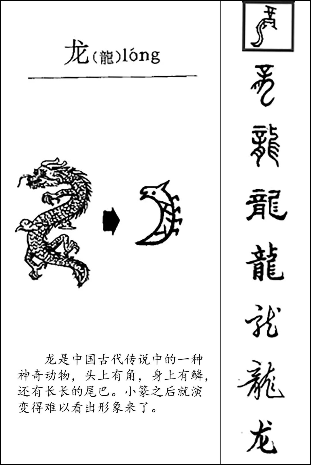 中国古代字体演变过程图片