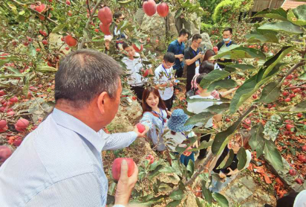 瓜果飄香話豐收山東省沂源縣熱烈慶祝第三個中國農民豐收節