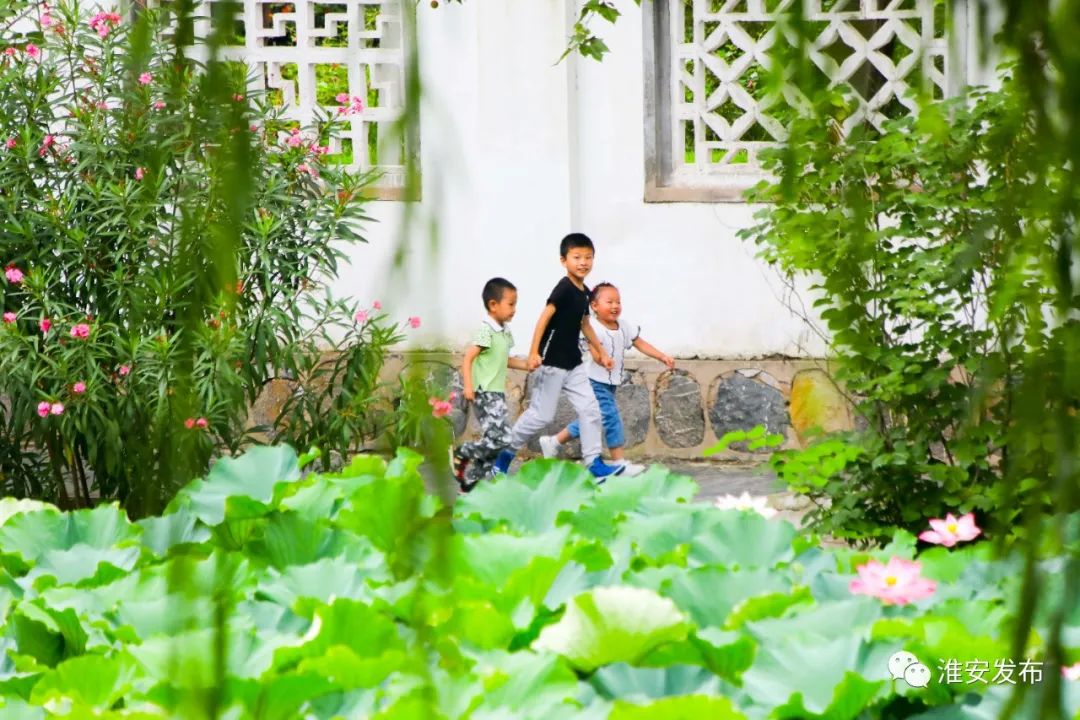 摄影:贺敬华孩子们在新建成的盐河体育公园荡秋千 摄影:贺敬华山阳湖