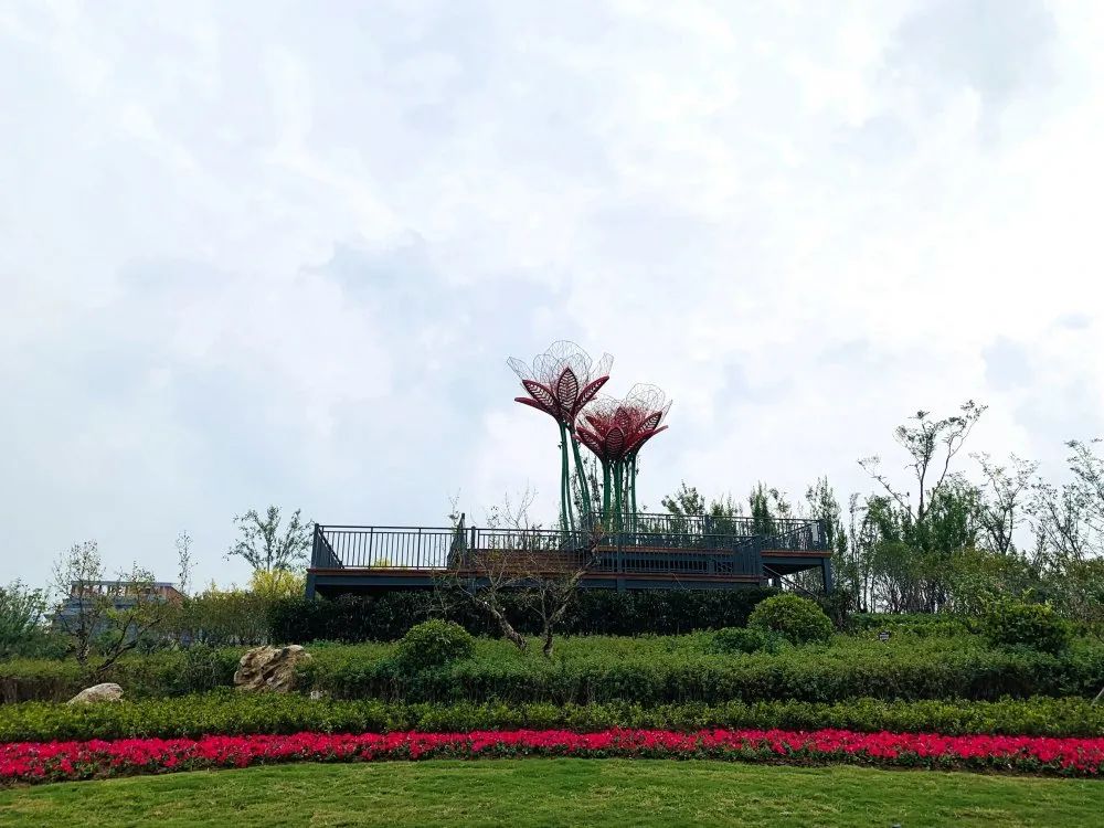 在阜合产业园区拉开大幕第十届中国(阜阳)月季展览会2020-09-25 16:49