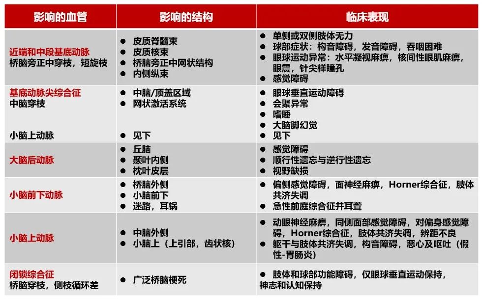 一张表总结基底动脉脑梗死的临床表现