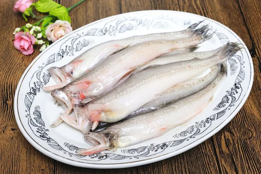 一条鱼要如何变得有诗意游到江南来