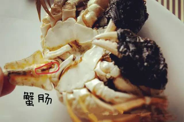 关于食用海鲜河北发布重要风险提示