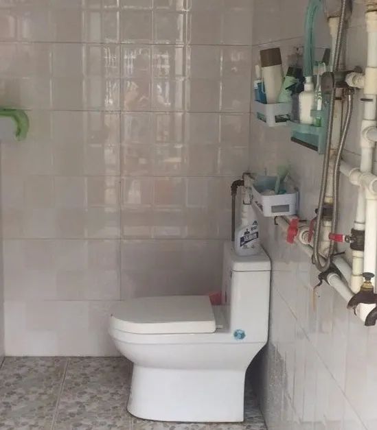 厨卫整洁卫生美丽庭院之厨厕美示范户带出农村新风尚