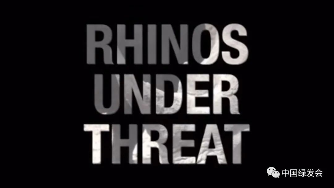 图源/《威胁下的犀牛》(Rhinos under Threat)视频