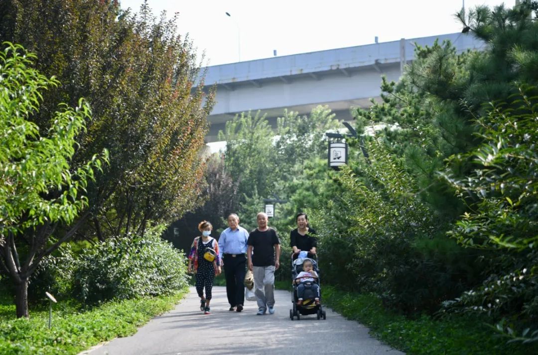 通惠河與東二環護城河交匯處 有這樣一處公園 大通濱河公園 今天正式