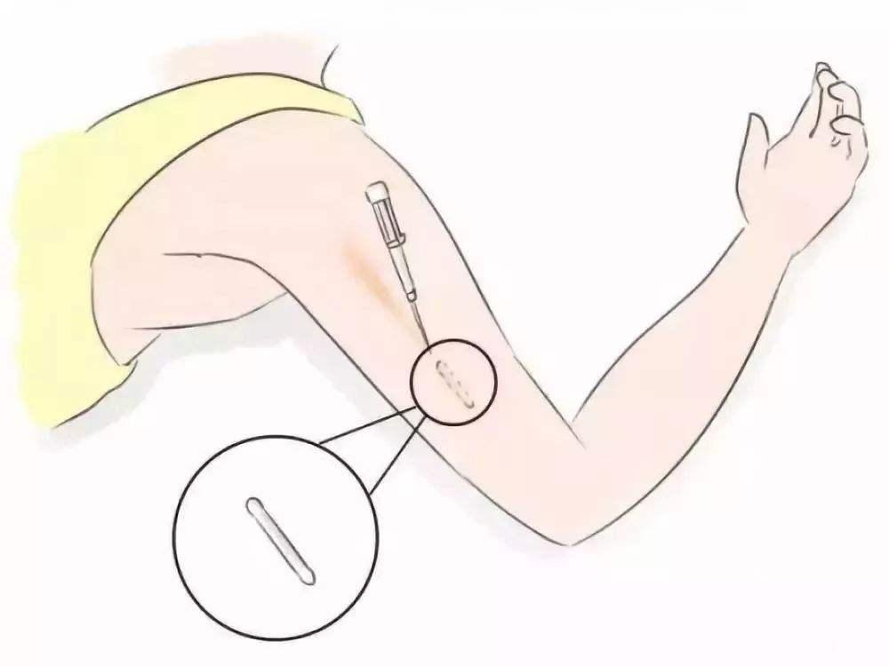 今天是个特别的日子,你知道吗?