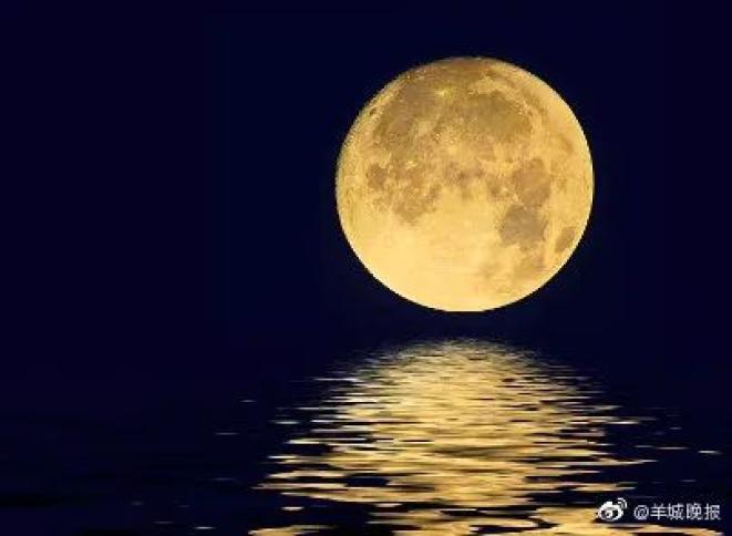 圆圆的月亮真美啊多像图片
