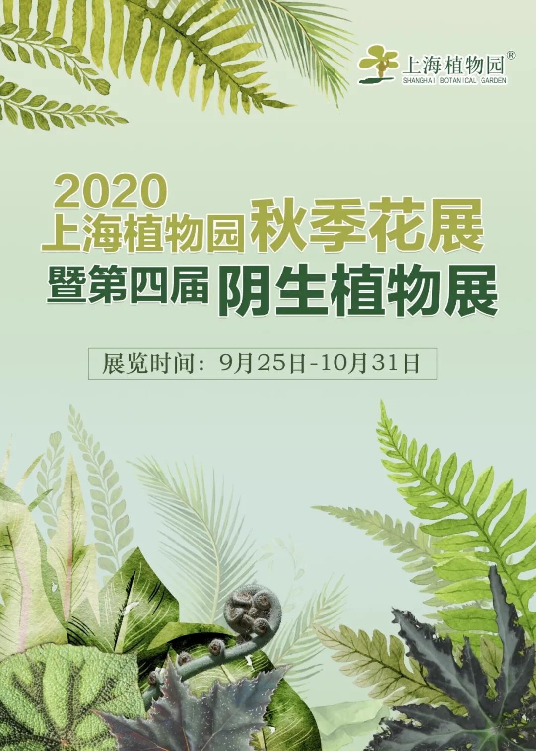 植物王国奇遇记 上海植物园第四届阴生植物展如期而至