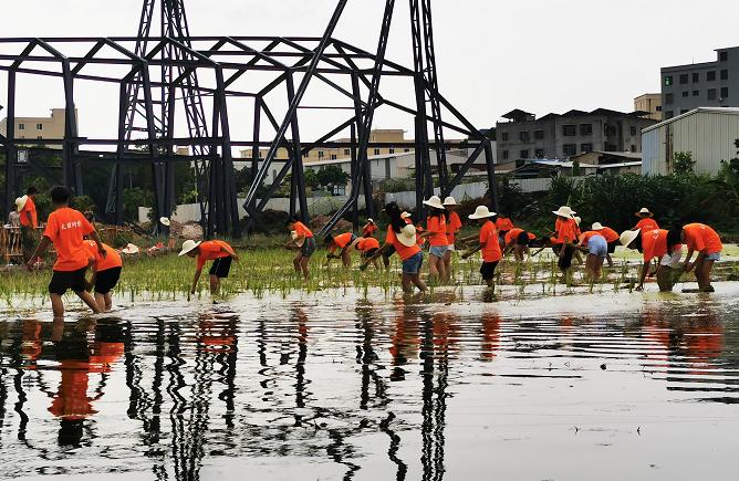 厦门文圃研学基地图片