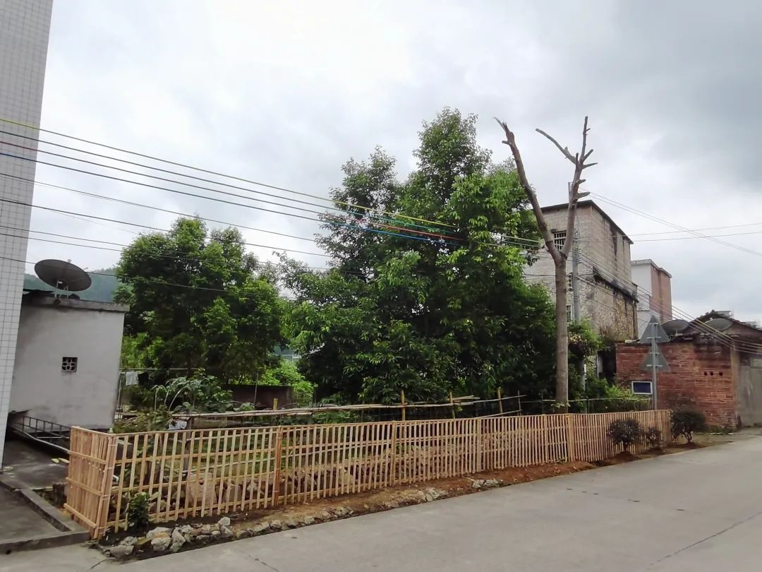 百日攻坚看变化紫市镇丨推进四小园建设打造高颜值乡村