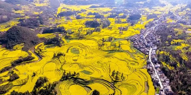 首批寶山赴雲南曲靖療養康建遊羅平遊