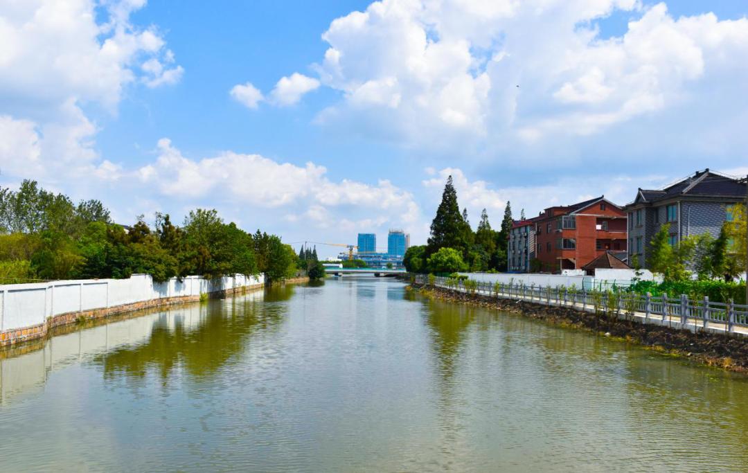 水清岸绿的方夏村你了解吗